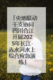 央地联动 干支协同 四川合江开展2025年长江-赤水河水上综合应急演练