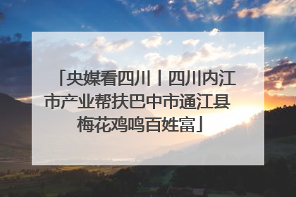 央媒看四川丨四川内江市产业帮扶巴中市通江县 梅花鸡鸣百姓富