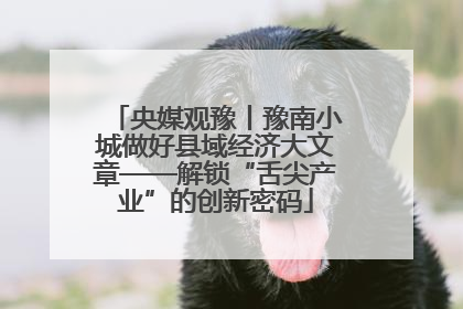央媒观豫丨豫南小城做好县域经济大文章——解锁“舌尖产业”的创新密码