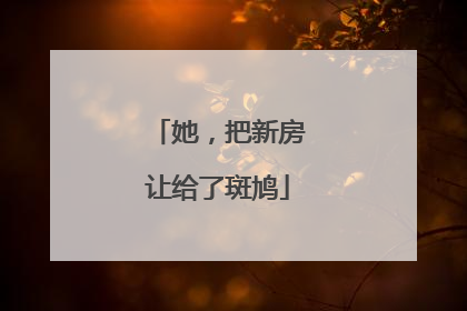 她，把新房让给了斑鸠