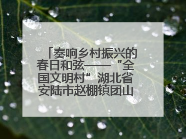 奏响乡村振兴的春日和弦——“全国文明村”湖北省安陆市赵棚镇团山村农文旅融合发展见闻