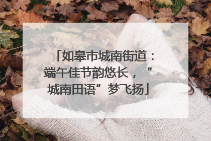 如皋市城南街道：端午佳节韵悠长，“城南田语”梦飞扬