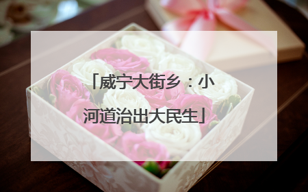 威宁大街乡：小河道治出大民生