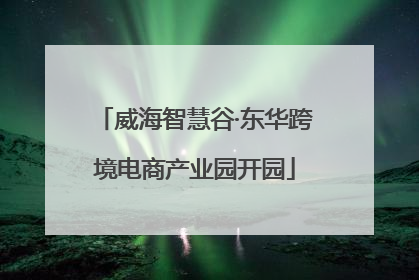 威海智慧谷·东华跨境电商产业园开园