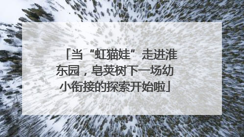当“虹猫娃”走进淮东园，皂荚树下一场幼小衔接的探索开始啦