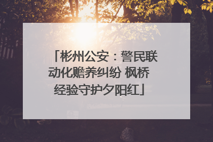 彬州公安：警民联动化赡养纠纷 枫桥经验守护夕阳红