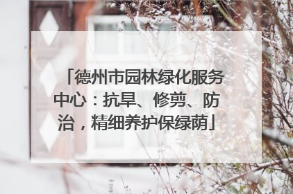 德州市园林绿化服务中心：抗旱、修剪、防治，精细养护保绿荫