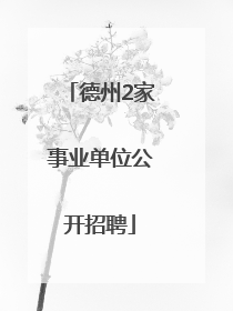 德州2家事业单位公开招聘