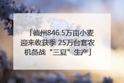 德州846.5万亩小麦迎来收获季 25万台套农机备战“三夏”生产