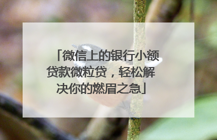微信上的银行小额贷款微粒贷，轻松解决你的燃眉之急