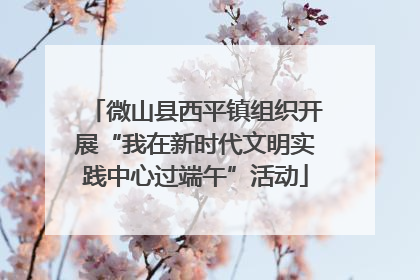 微山县西平镇组织开展“我在新时代文明实践中心过端午”活动