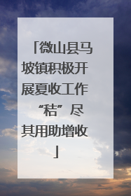 微山县马坡镇积极开展夏收工作 “秸”尽其用助增收