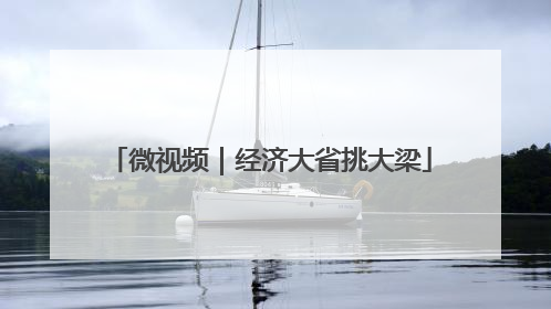 微视频｜经济大省挑大梁