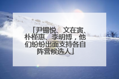 尹锡悦、文在寅、朴槿惠、李明博，他们纷纷出面支持各自阵营候选人