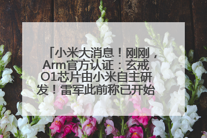小米大消息！刚刚，Arm官方认证：玄戒O1芯片由小米自主研发！雷军此前称已开始大规模量产