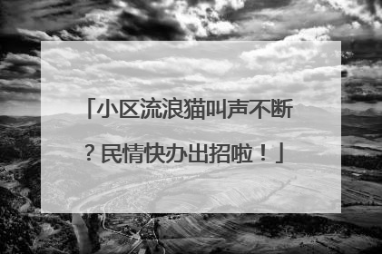 小区流浪猫叫声不断？民情快办出招啦！