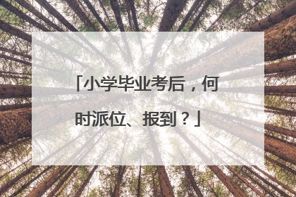 小学毕业考后，何时派位、报到？