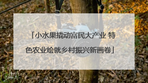 小水果撬动富民大产业 特色农业绘就乡村振兴新画卷