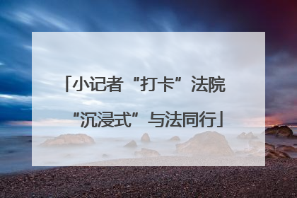 小记者“打卡”法院 “沉浸式”与法同行