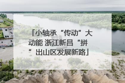 小轴承“传动”大动能 浙江新昌“拼”出山区发展新路