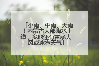 小雨、中雨、大雨！内蒙古大部降水上线，多地还有雷暴大风或冰雹天气