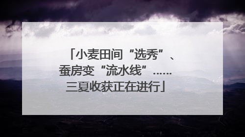 小麦田间“选秀”、蚕房变“流水线”……三夏收获正在进行