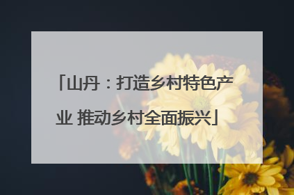 山丹：打造乡村特色产业 推动乡村全面振兴