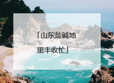 山东盐碱地里丰收忙