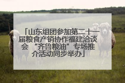山东组团参加第二十一届粮食产销协作福建洽谈会 “齐鲁粮油”专场推介活动同步举办
