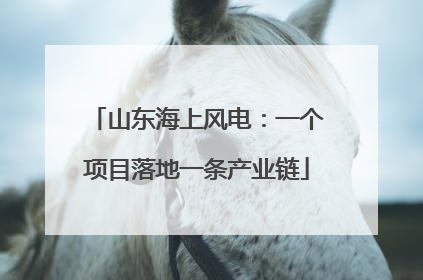 山东海上风电：一个项目落地一条产业链