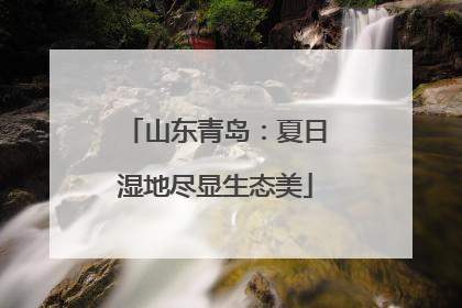 山东青岛：夏日湿地尽显生态美