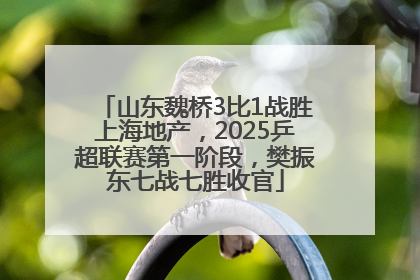 山东魏桥3比1战胜上海地产，2025乒超联赛第一阶段，樊振东七战七胜收官