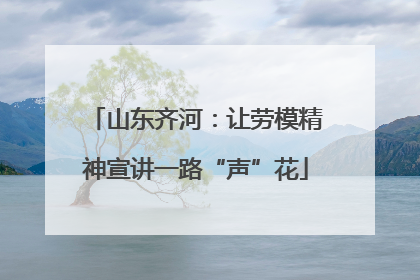 山东齐河：让劳模精神宣讲一路“声”花