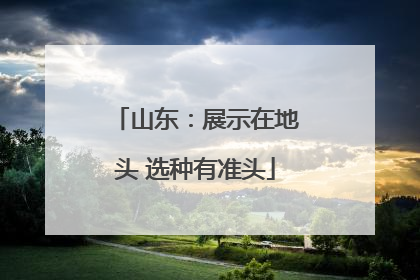 山东：展示在地头 选种有准头
