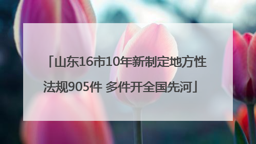山东16市10年新制定地方性法规905件 多件开全国先河