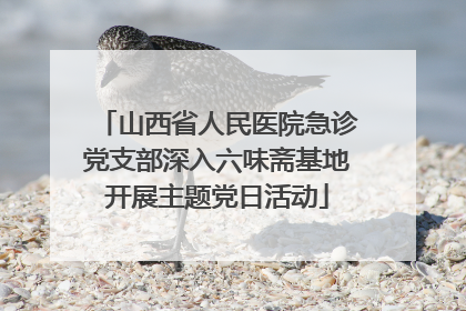 山西省人民医院急诊党支部深入六味斋基地开展主题党日活动