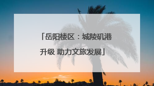 岳阳楼区：城陵矶港升级 助力文旅发展