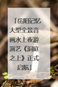 岳阳记忆大型全景音画水上夜游演艺《洞庭之上》正式启航