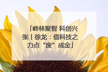 峰林聚智 科创兴张丨徐龙：借科技之力点“废”成金