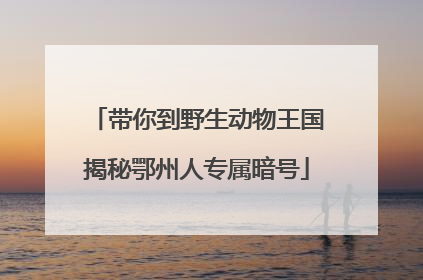 带你到野生动物王国揭秘鄂州人专属暗号