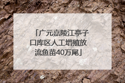 广元嘉陵江亭子口库区人工增殖放流鱼苗40万尾