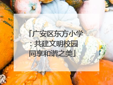 广安区东方小学：共建文明校园 同享和谐之美
