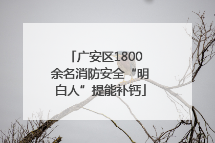 广安区1800余名消防安全“明白人”提能补钙