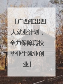 广西推出四大就业计划，全力保障高校毕业生就业创业