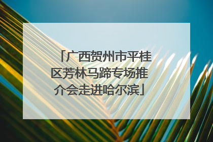 广西贺州市平桂区芳林马蹄专场推介会走进哈尔滨