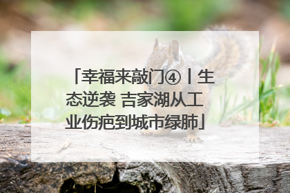 幸福来敲门④丨生态逆袭 吉家湖从工业伤疤到城市绿肺