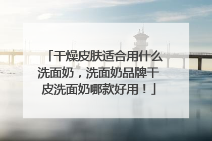 干燥皮肤适合用什么洗面奶，洗面奶品牌干皮洗面奶哪款好用！
