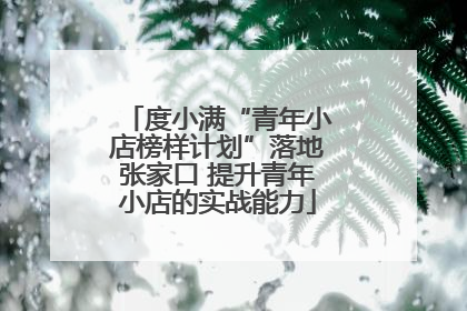 度小满“青年小店榜样计划”落地张家口 提升青年小店的实战能力