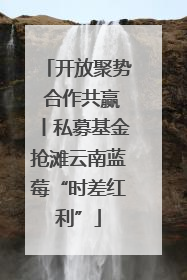 开放聚势 合作共赢丨私募基金抢滩云南蓝莓“时差红利”