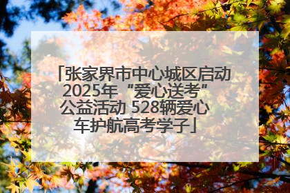 张家界市中心城区启动2025年“爱心送考”公益活动 528辆爱心车护航高考学子